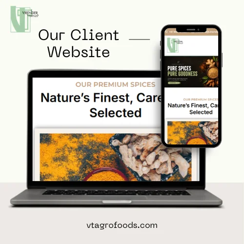 New Website Launch (1)